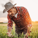 Crises internacionais afetam o agro brasileiro, como alerta Aldo Vendramin sobre fertilizantes.