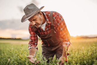 Crises internacionais afetam o agro brasileiro, como alerta Aldo Vendramin sobre fertilizantes.