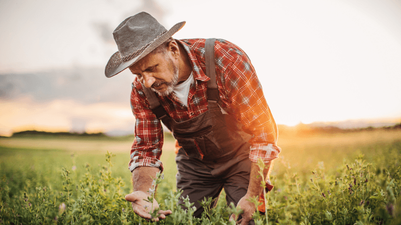 Crises internacionais afetam o agro brasileiro, como alerta Aldo Vendramin sobre fertilizantes.