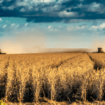 Alfredo Moreira Filho