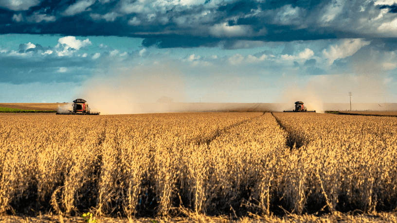 Alfredo Moreira Filho